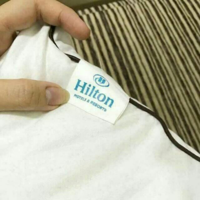 Ruột gối HILTON( loại 1)