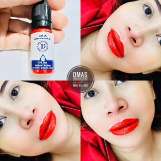 siêu mực mỹ Dmas