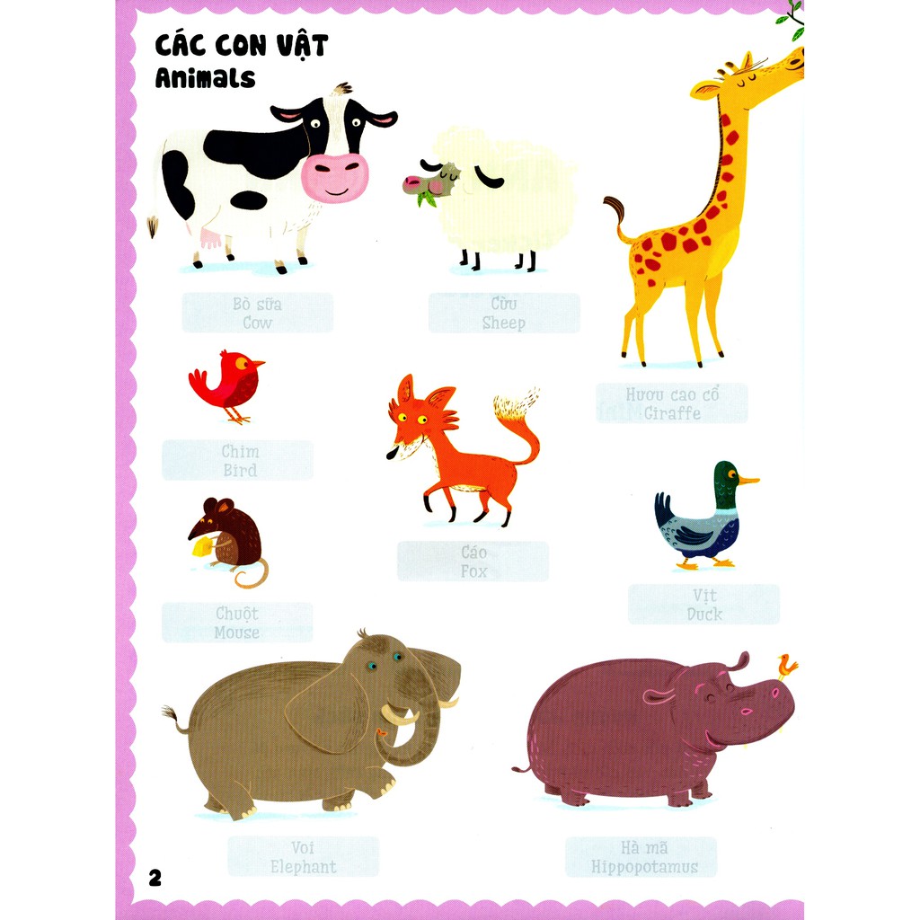 Sách - Level 3: Từ Vựng Tiếng Anh Đơn Giản - Easy English Words