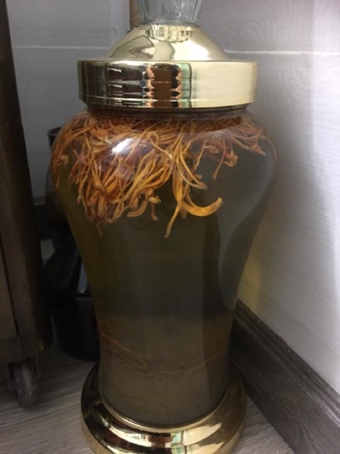 100g đông trùng hạ thảo sấy lạnh | BigBuy360 - bigbuy360.vn