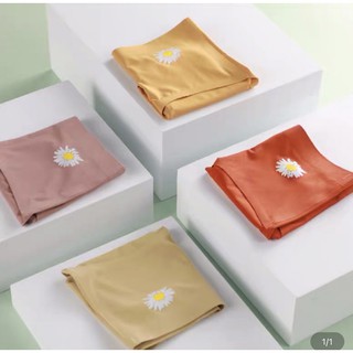 Set quần chip đúc Nanjiren 5 chiếc