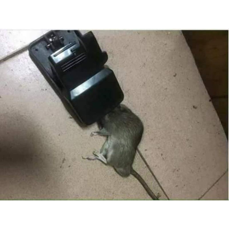 Bẫy chuột nhựa mini