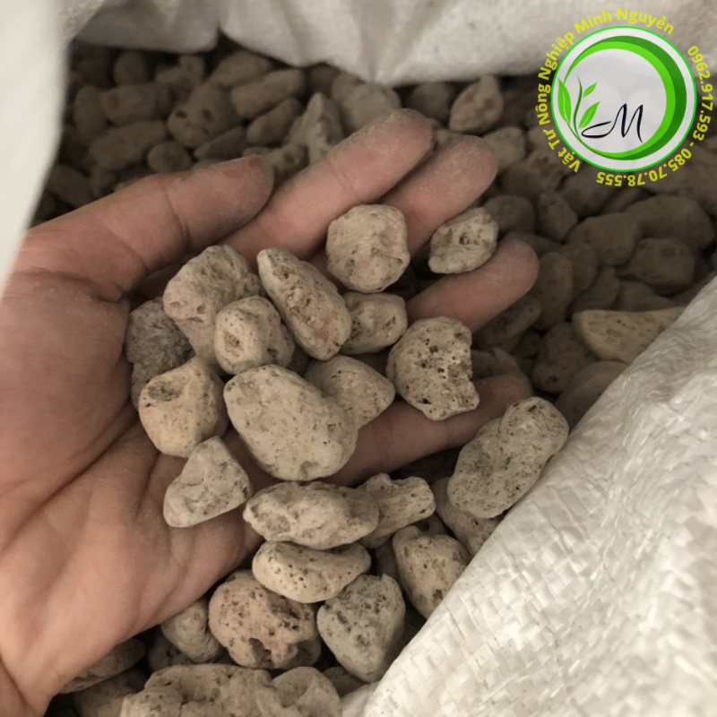 1kg đá bọt pumice HÀNG ĐẸP giá thể trồng cây sen đá, vật liệu lọc bể cá đá lông vũ, nham thạch trắng, đá trồng cây