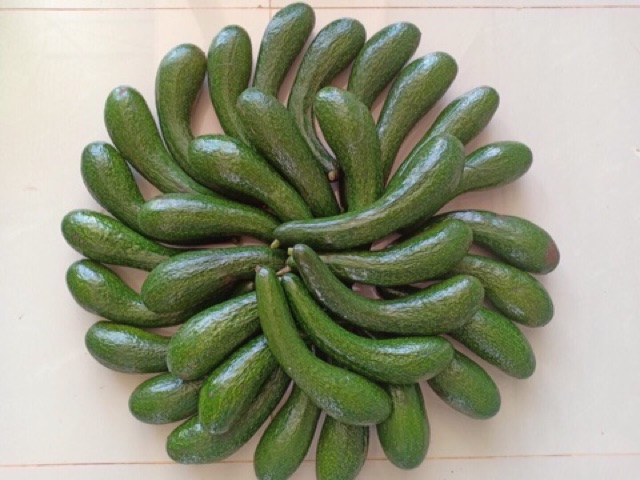 1kg Bơ 034 - cơm vàng vỏ mỏng hạt lép | BigBuy360 - bigbuy360.vn