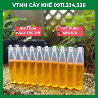 Thuốc ruồi vàng - thuốc dẫn dụ ruồi vàng dùng cho bẫy ruồi vàng thế hệ mới - lọ 2ml