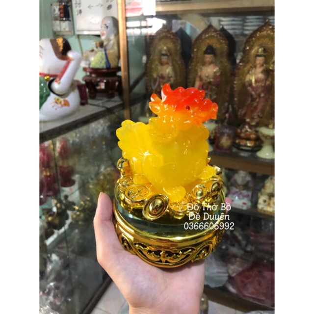 Ông tỳ hưu vàng pha cam