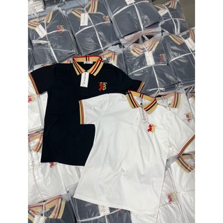 Áo Polo Nam ,Áo Thun Có Thêu logo BBR Cao Cấp Phong Cách Sang Trọng