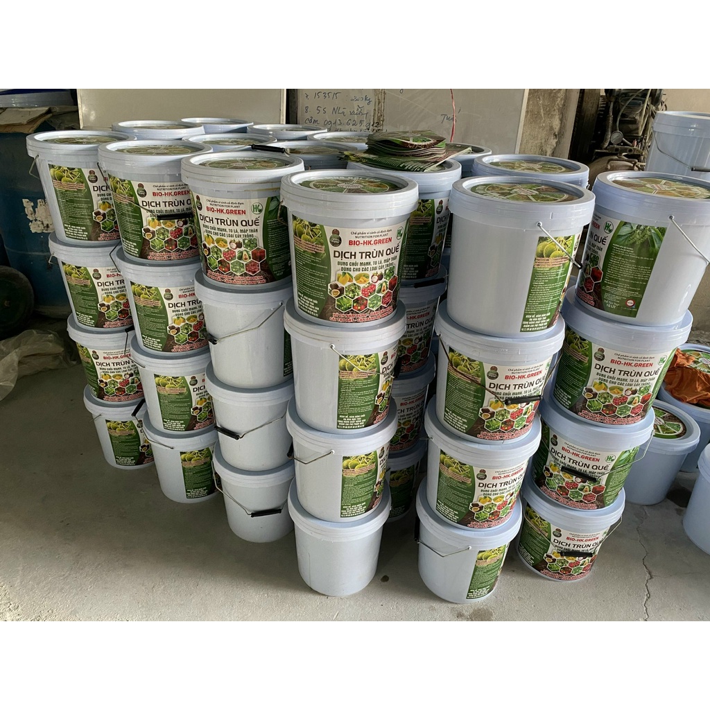 DỊCH TRÙN QUẾ 9L .