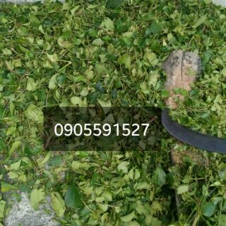 Chè vằng sẻ :-) :-)