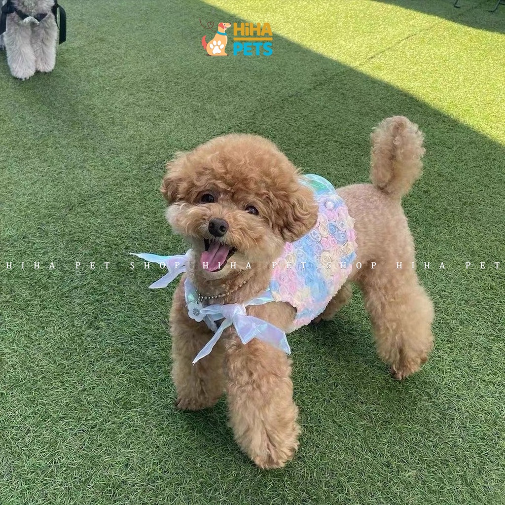 Váy Đầm Cho Chó Mèo Không Nón Hàn Quốc Mẫu Cao Cấp Quần Áo Thú Cưng Thiết Kế Thời Trang Hihapet.