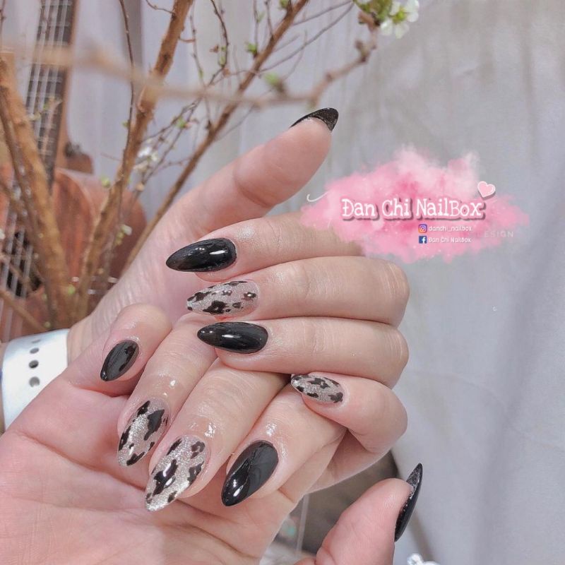 NailBox móng úp thiết kế sẵn Mẫu Đen