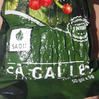 Trà cà gai leo