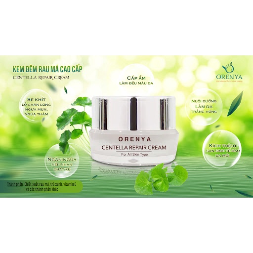 Kem Đêm Rau Má – Centella Repair Cream