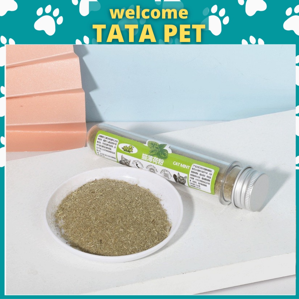 Bạc hà mèo, cỏ bạc hà Catmint/Catnip cho mèo - Ống TATAPET