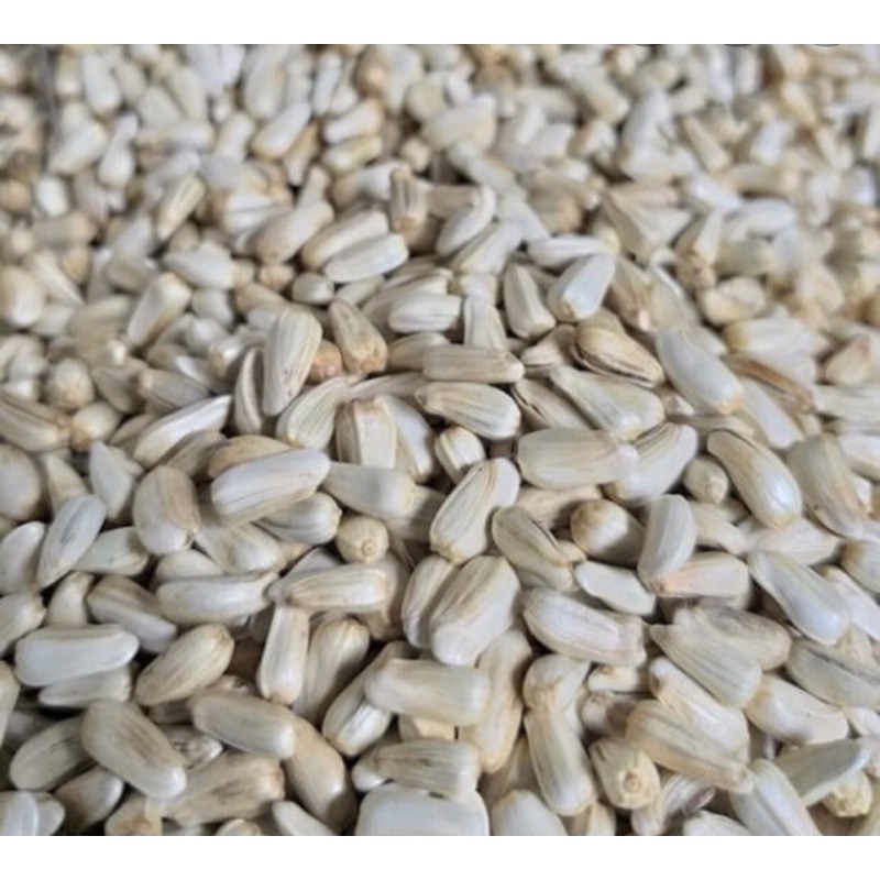 1KG HẠT KHAM