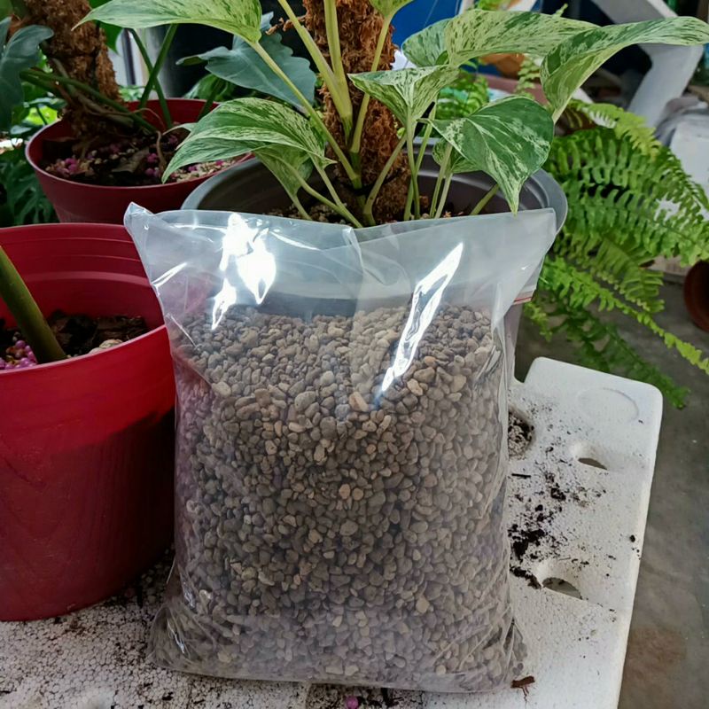 Đá bọt pumice trồng lan sen đá kiễng lá 3-6mm indo túi 1kg