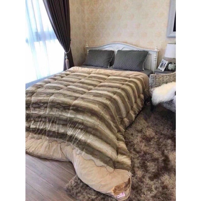 Chăn cừu Úc nhập khẩu