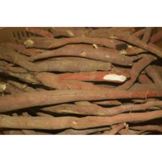 Sỉ lẻ sâm cau đỏ tươi 1kg