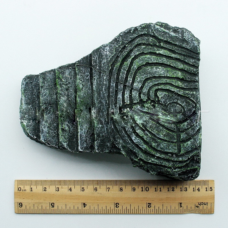 Bệ Đứng Hình Rùa Có Lỗ Ẩn Đảo Rùa Leo Trèo Cho Rùa