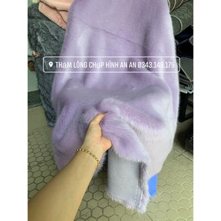 Thảm lông chụp hình màu tím khoai môn siêu dày