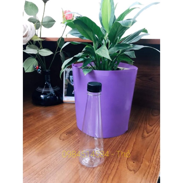 Chai nhựa pet tam giác 330ml fi30 kèm nắp | BigBuy360 - bigbuy360.vn