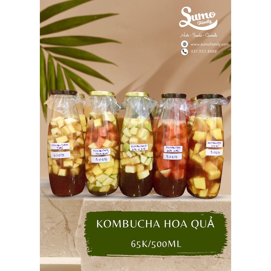 Kombucha Hoa quả 500ml
