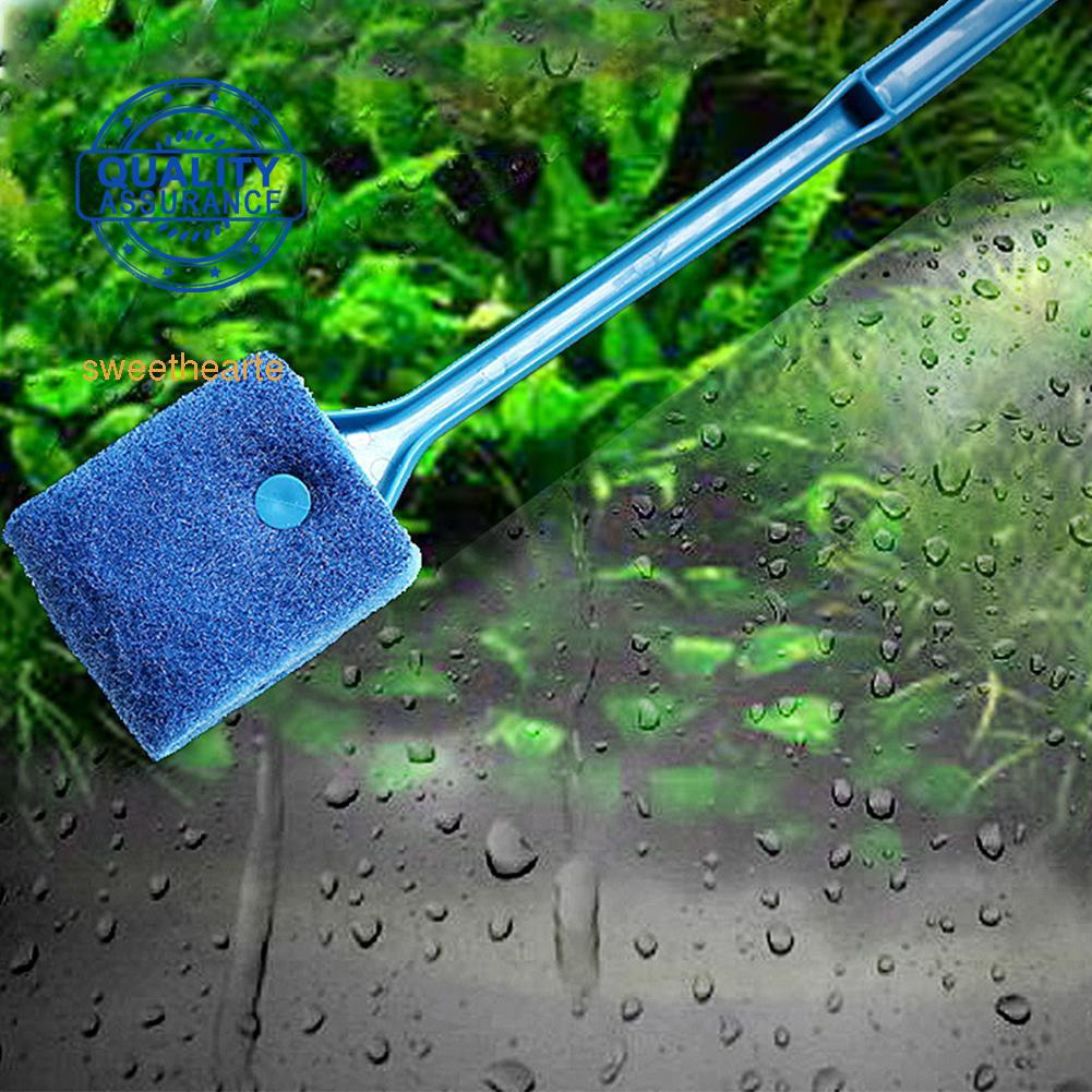 Cây Lau Kính Bể Cá H7Z1