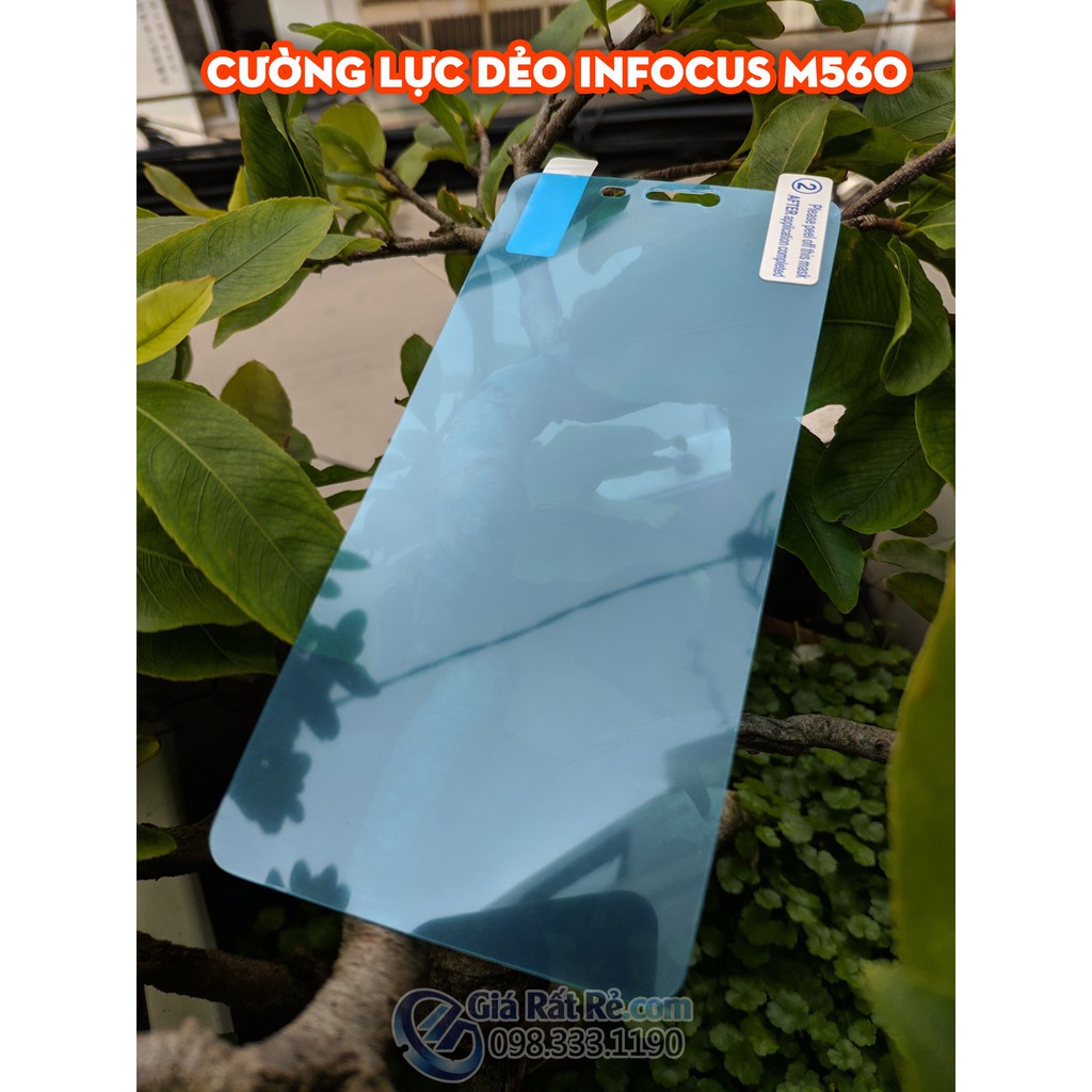 Dán cường lực dẻo Infocus M560 - Infocus V5
