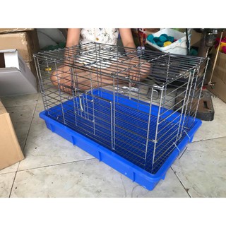 Lồng chứa chăm sóc Vẹt non