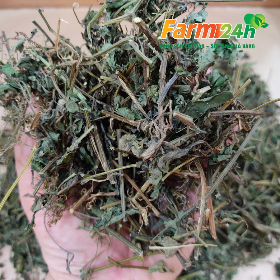 [500 gram] Trà giảo cổ lam 7 lá, 100% tự nhiên từ Sapa | Farm24h