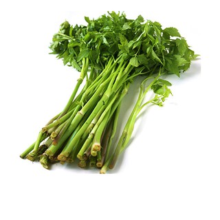 Bán Hạt giống rau cần pascal -ship toàn quốc