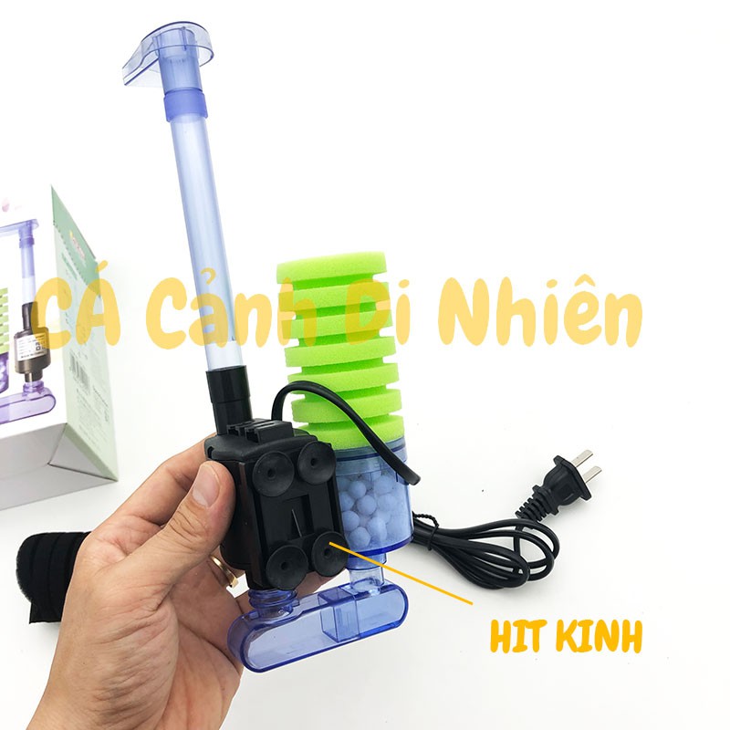 Lọc sủi vi sinh có MÁY BƠM bio bông ĐƠN kèm vật liệu lọc XY-2901