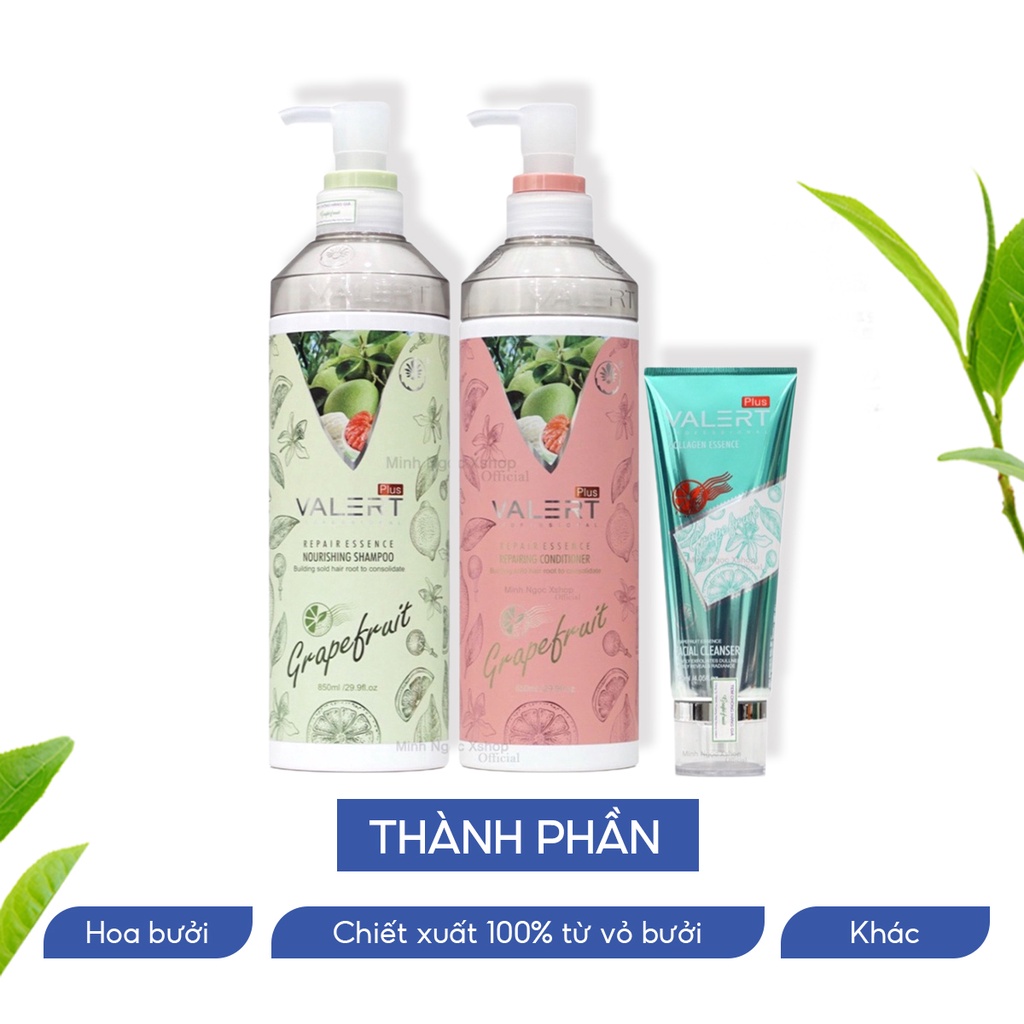 Dầu gội xả bưởi Valert Grapefruit 850ml tặng sữa rửa mặt bưởi 120ml, phục hồi chống rụng kích mọc tóc