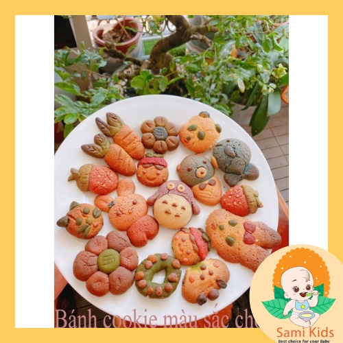 Set bột rau củ sấy lạnh Dalahouse cho bé ăn dặm, bột cải xoăn kale, bó xôi, đậu hà lan SAMI KIDS