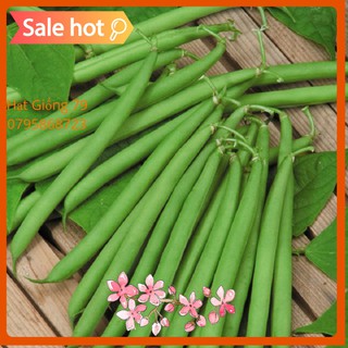 HẠT GIỐNG ĐẬU COVE BỤI LÙN- 10 Gram