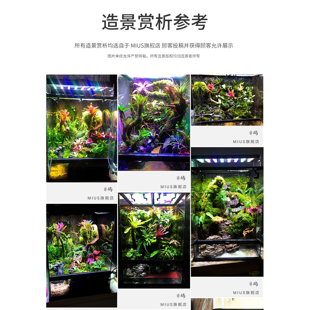 Foam xịt MiUS - Foam tạo hình hồ bán cạn - tạo BackGroud