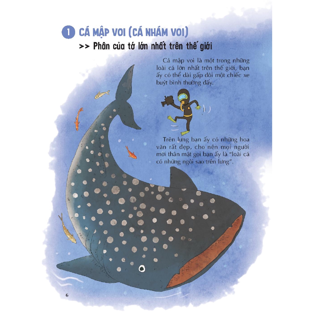 Sách - Bí Mật Muôn Loài - Phân Động Vật Có Tác Dụng Gì?