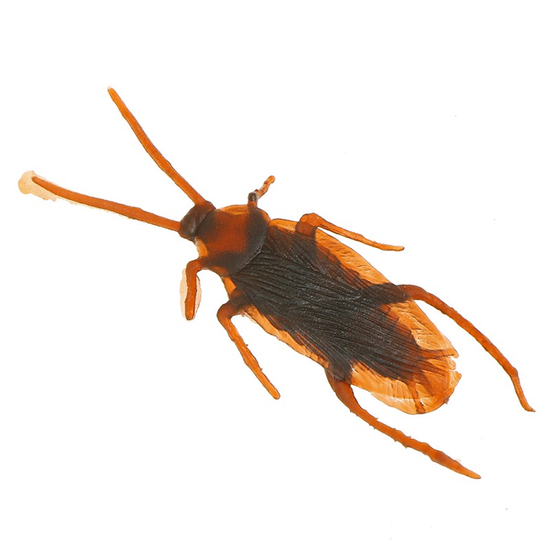 12 Gián Giả Trang Trí Halloween