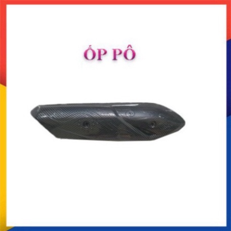 Ốp Carbon Vision 2021 7 Món Tùy Chọn Artista Chính Hãng