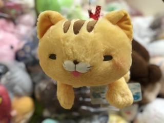 Đôi bạn thỏ,mèo,cáo- gấu bông (ảnh thật)