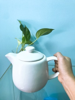 Ấm trà gốm sứ size lớn 1Lit