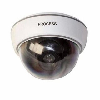 Camera mô hình giống thật chống trộm CAFV2