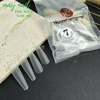 Móng úp lẻ size fom thang trong nhám