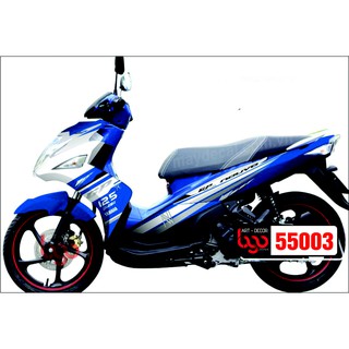 Tem trùm nouvo 6 - 55003