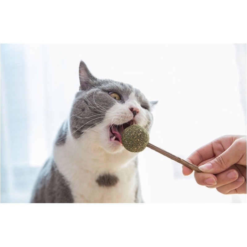 CATNIP CHO MÈO Yaho Dạng viên Loại bỏ búi lông trong dạ dày Giúp mèo thư giãn Giảm căng thẳng - Pet shop Uytinpro