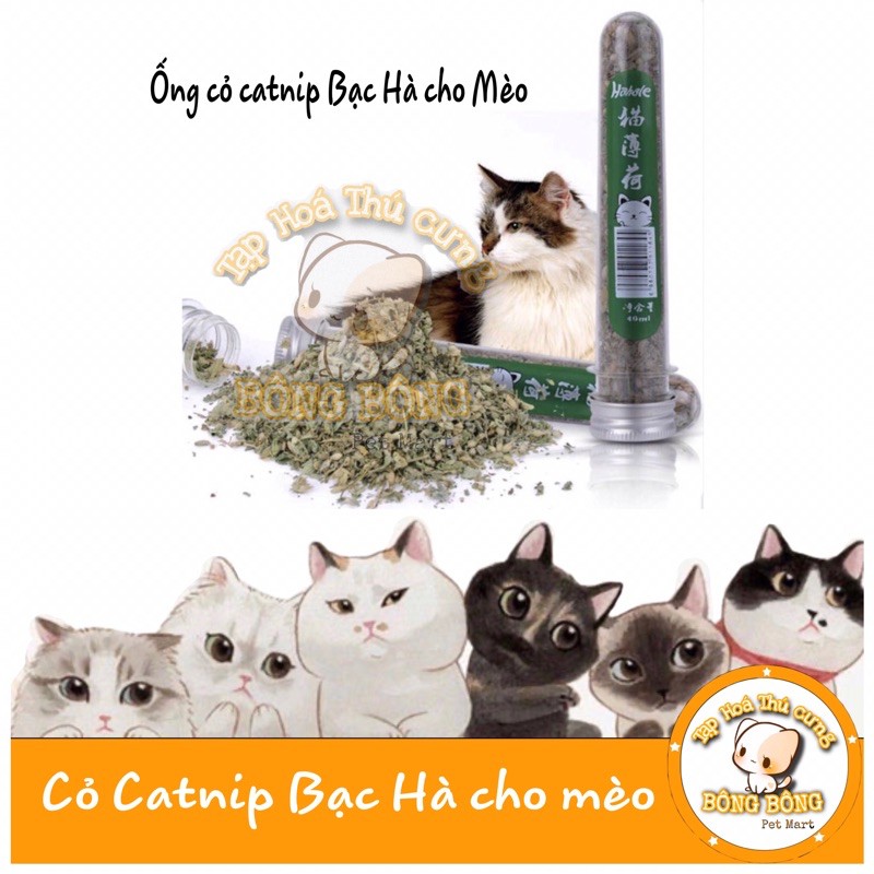 Ống catnip cho mèo