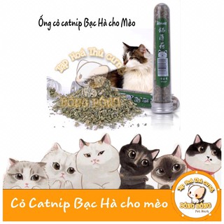 Ống catnip cho mèo
