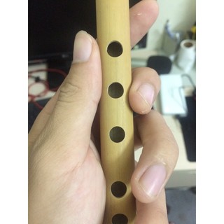 Sáo ngang cho người mới tập (Sáo đô)