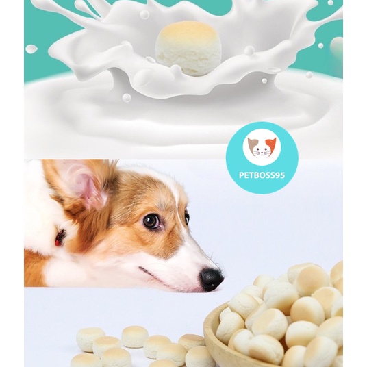 BÁNH QUY SỮA 50GRAM CHO CHÓ MÈO