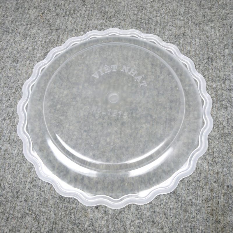 Set 10 đĩa nhựa Việt Nhật size 15cm